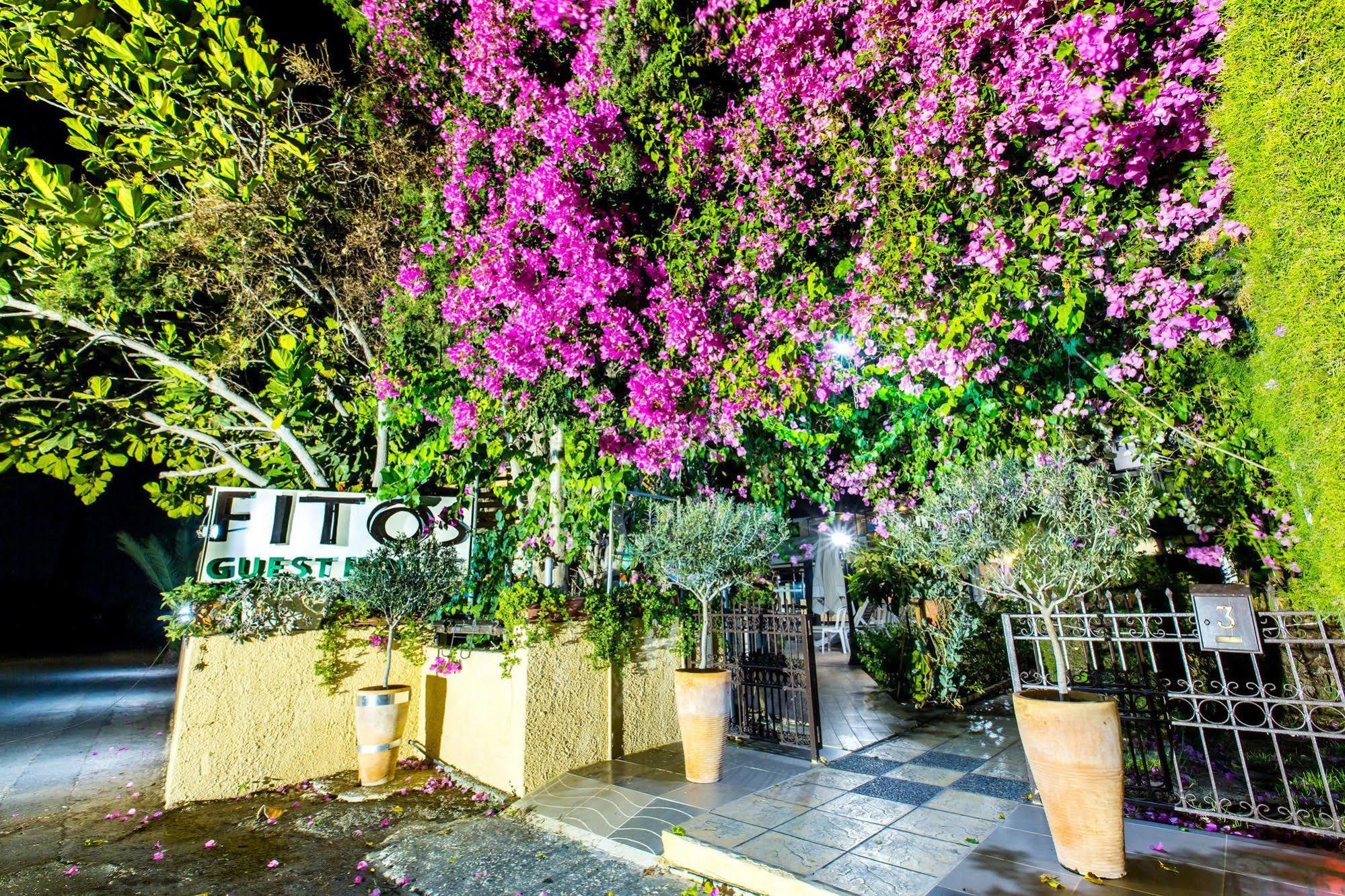 Fitosinn Hotel Geroskipou Bagian luar foto